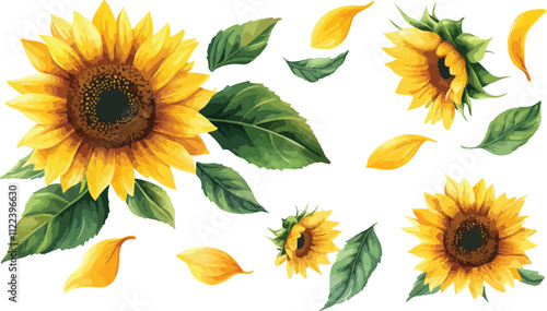 Hand painted watercolor sunflowers collection
