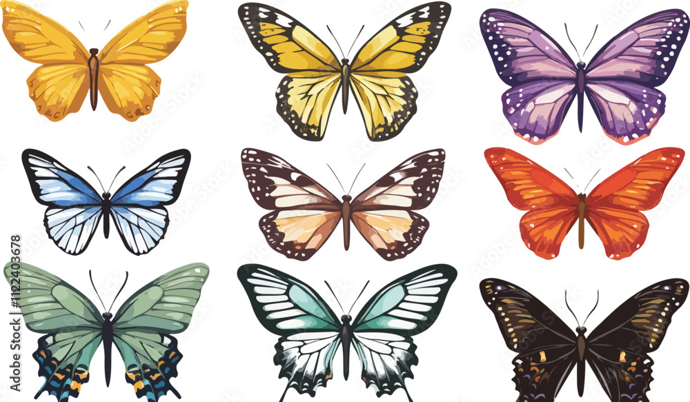 Flat butterfly collection Flat butterfly collection