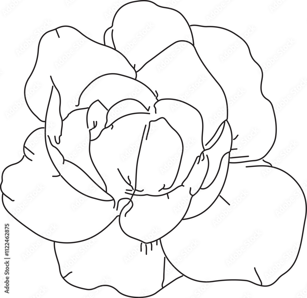 Obraz premium Silhouette Flower Art And Vector Stock Photo