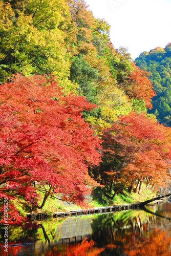 鎌北湖の紅葉の風景49 photo