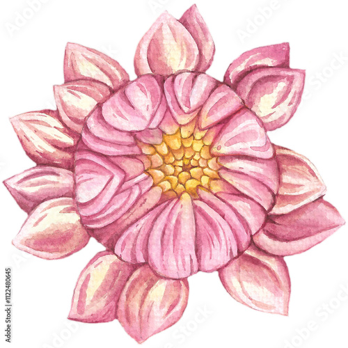 Pink Lotus Flower Watercolor Illustration.