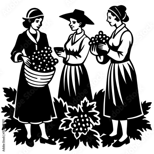 Women Harvesting Grapes Vector Illustration