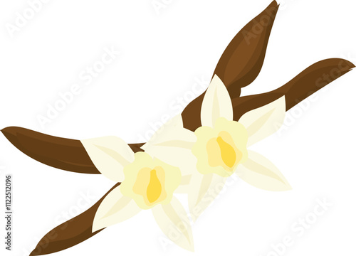 Vanilla Pods with White Flowers Illustration.