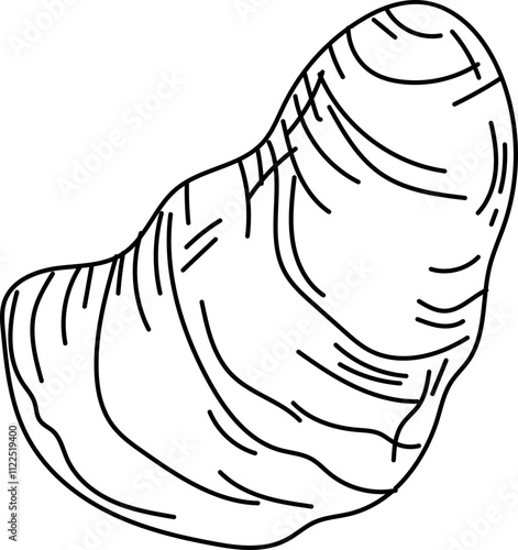 Line Art Illustration of an Oyster Shell. photo