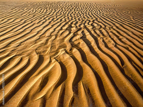 sand dunes in the desert