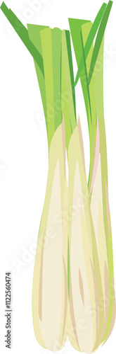 Lemongrass Stalks Vector Illustration.