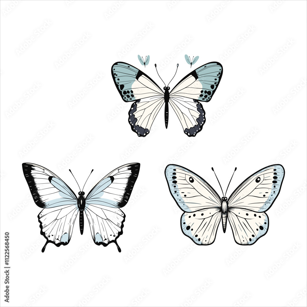 Obraz premium A butterfly silhouette and flower on a white background with a butterfly on it