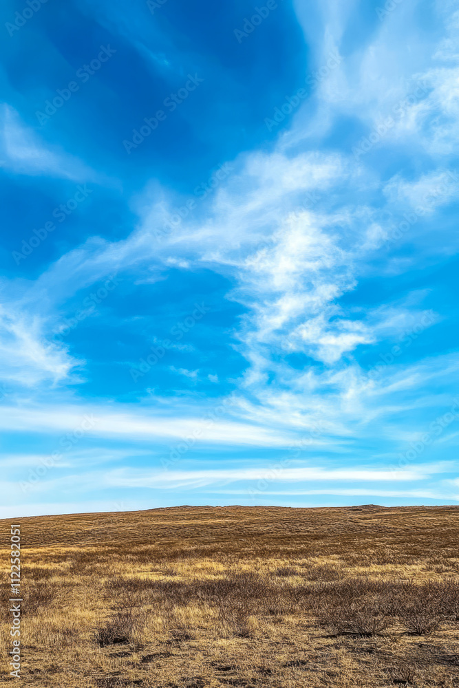 Fototapeta premium Expansive landscape with blue sky and wispy clouds over golden grasslands in daytime