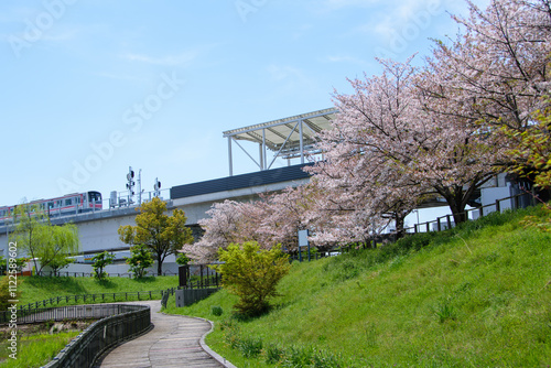 桜満開の箕面萱野駅周辺