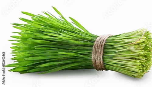 Fresh Beginnings: Vibrant Wheatgrass Shoots on a Transparent Canvas