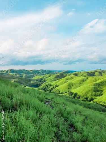 Lush landscape of green hills under a cloudy sky in Wairinding Hill, Sumba, East Nusa Tenggara, Indonesia photo