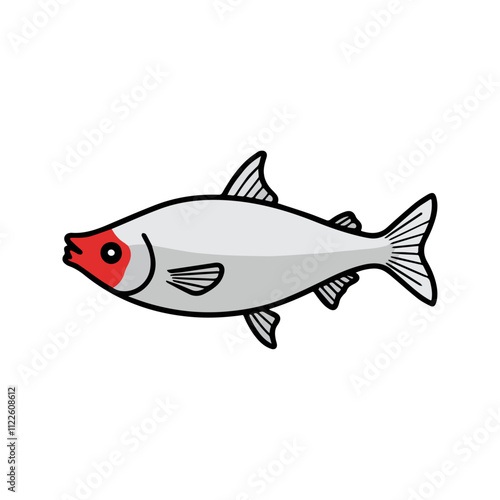 Flat vector illustration of a Rummy Nose Tetra with silver body, red nose, simple fins, minimal design, clean aesthetic