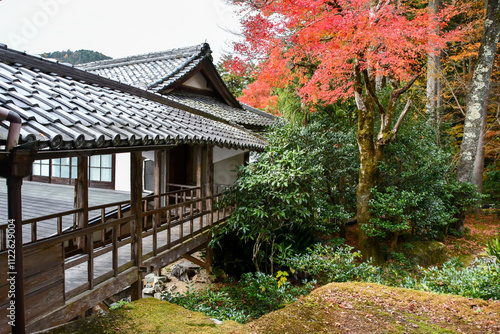 秋の京都 大原三千院 photo