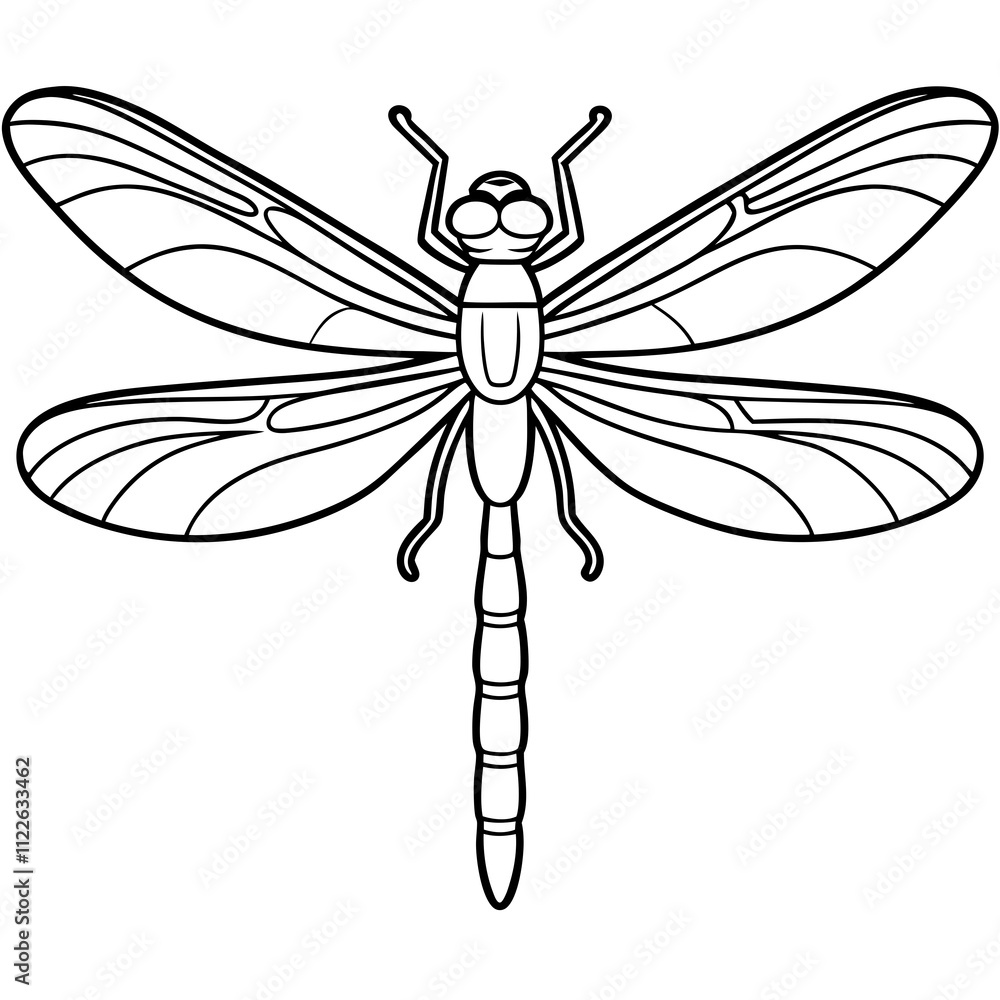 Fototapeta premium dragonfly on white background