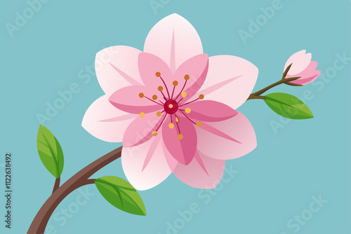 Cherry Blossom flower vector illustration