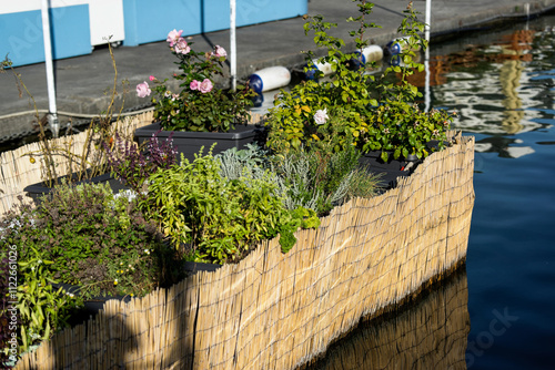 Le jardin flottant photo