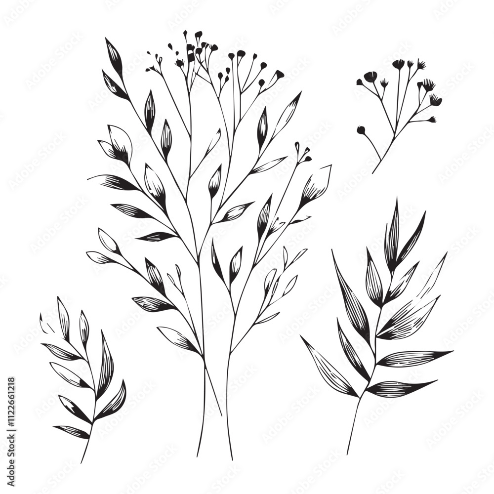 Fototapeta premium Minimal Floral Graphic Sketch Line art Drawing