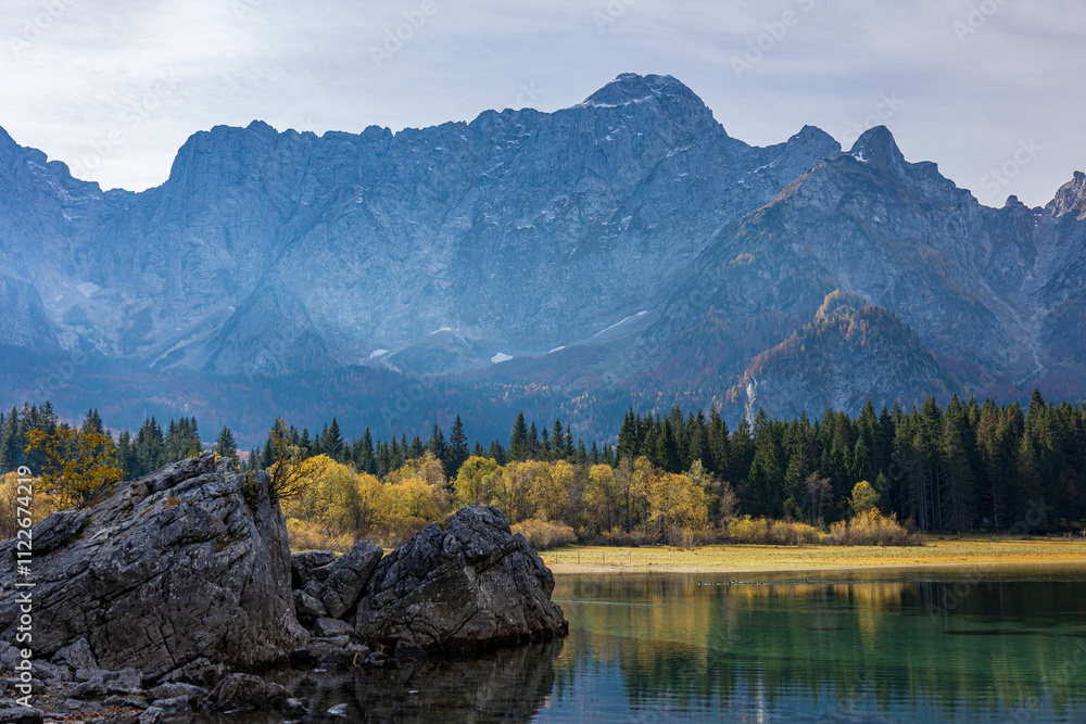 Foliage in the woods of Julian Alps