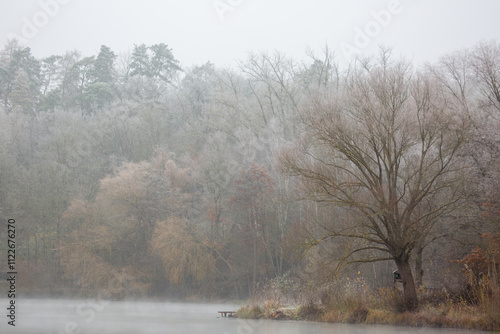 Wallpaper Mural Old tree with reflections in the water on a dark and cloudy morning on the Grube Fernie in Linden, Hessia, Germany Torontodigital.ca