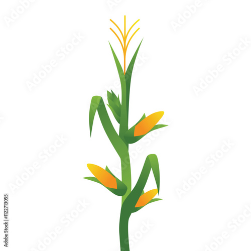 Lush Green Corn Plant in Agricultural Field