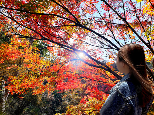 秋景色 紅葉から漏れる太陽の木洩れ日の光ともみじを眺める女性