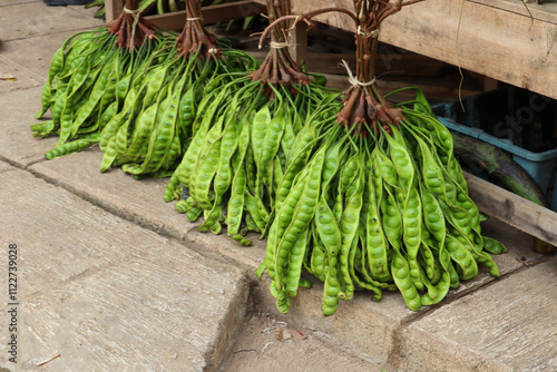 A close-up of fresh green petai, also known as stink bean, highlights its glossy pods and striking shape. Its bold color and unique aroma promise a flavorful culinary experience.