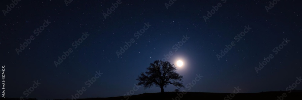 Fototapeta premium The night sky is ablaze with stars as a tree stands alone in the foreground, silhouetted against a vibrant moonlit sky, autumn foliage, lunar light, nature