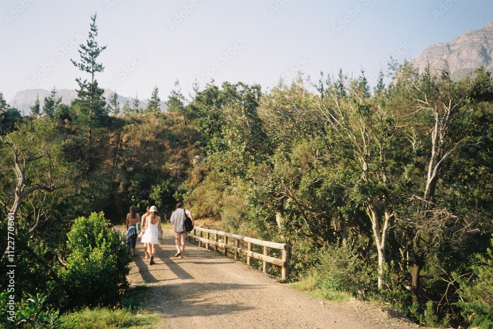 walk in the woods walk in the woods