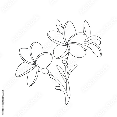 Line art of a plumeria flowers vector art illustration