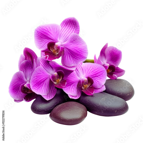 A cluster of vibrant purple orchids accompanied by smooth, dark pebbles, showcasing a natural and elegant arrangement.