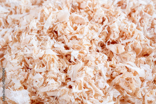 Close-up of wood shavings, with a detailed texture and natural lighting photo