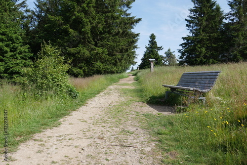 Wanderweg Rothaarsteig im Rothaargebirge photo