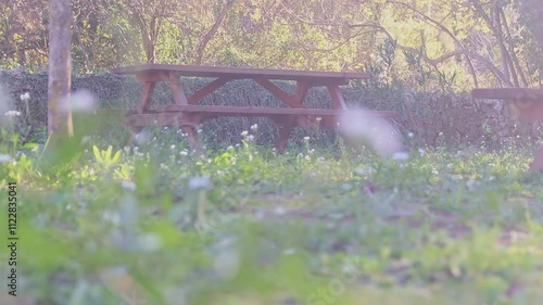 Wooden picnic table in a natural setting with flowers. Picnic area on a hiking trail