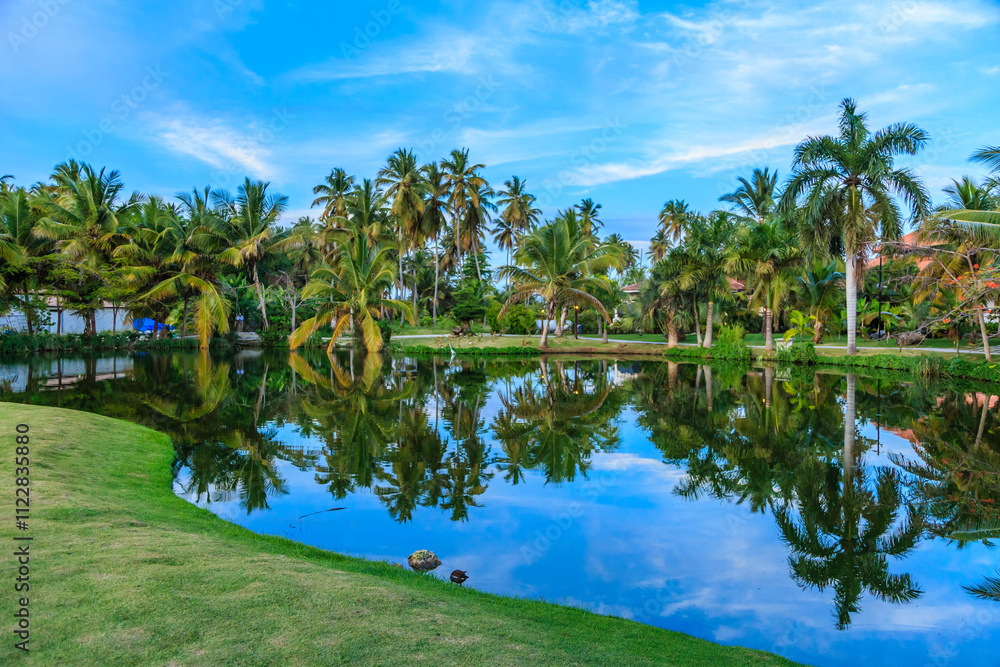 A beautiful pond with palm trees in the background A beautiful pond with palm trees in the background