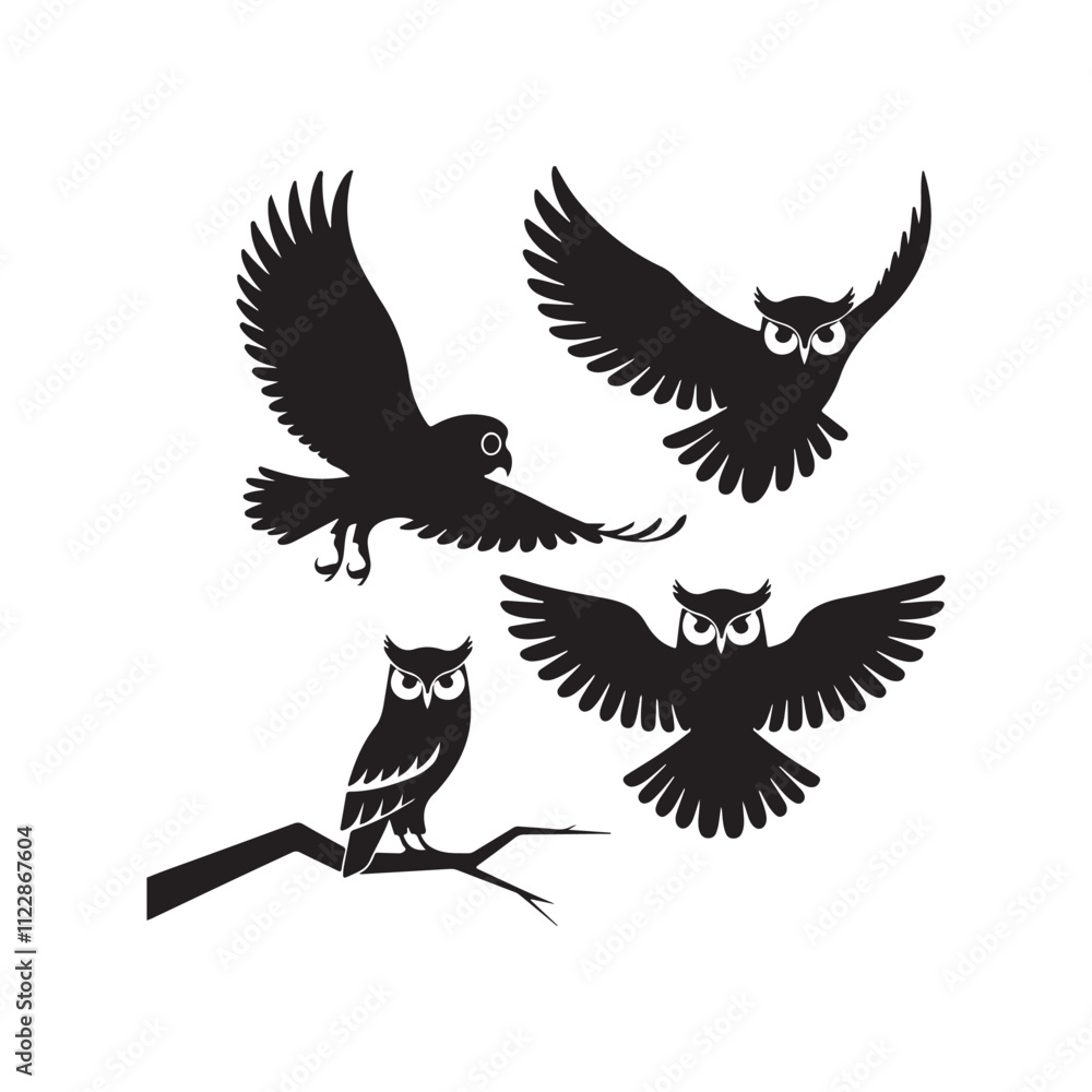 Obraz premium silhouette of a bird