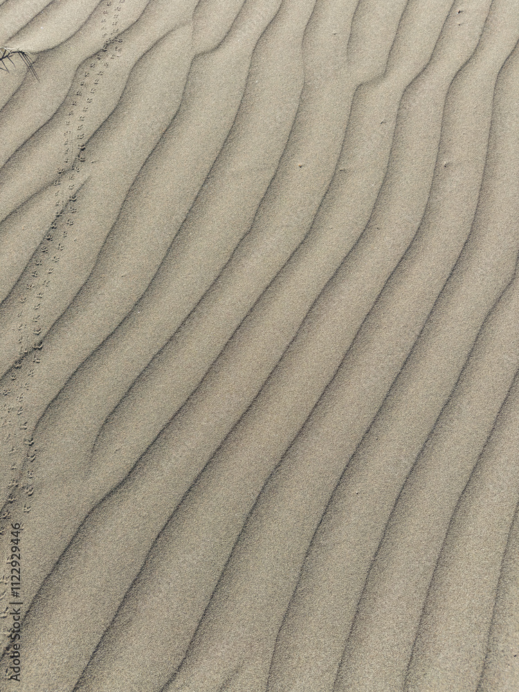 Akrotiri Sand Dunes in Cyprus
