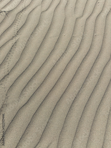 Akrotiri Sand Dunes in Cyprus