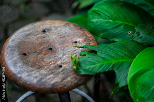 Potrait of wooden stool with a nature background