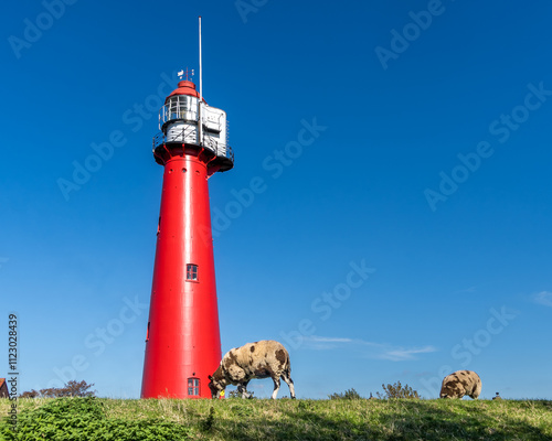 A vibrant red lighthouse stands against a clear blue sky on a grassy sea dike in Hoek van Holland.