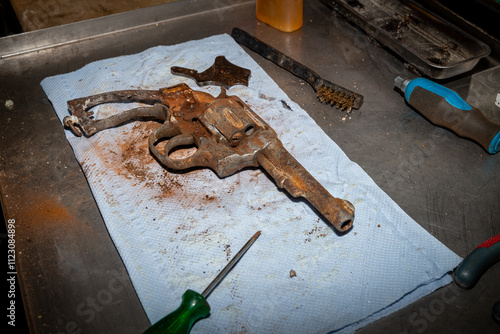 Handgun which became stone.