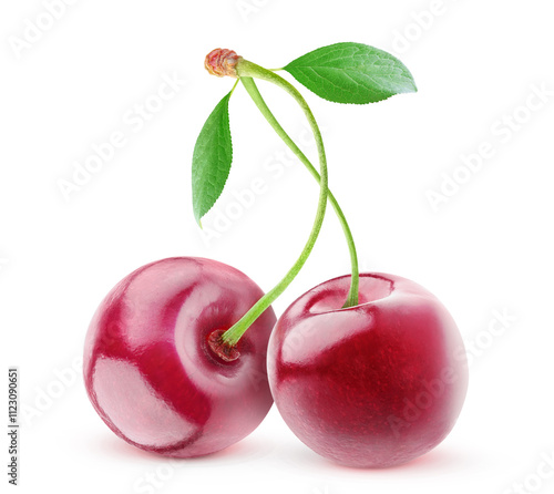 Two cherry fruits with intertwined stems isolated on white background