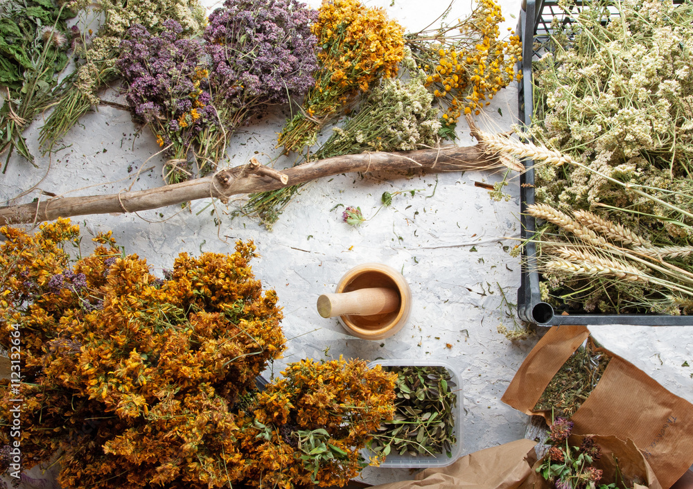different wild medicinal dry herbs: white yarrow herb blossoming, yellow tansy herb, lilac marjoram\oregano, St. John's wort at white background