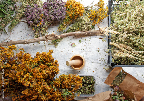 Obraz na płótnie different wild medicinal dry herbs: white yarrow herb blossoming, yellow tansy herb, lilac marjoram\oregano, St. John's wort at white background w salonie