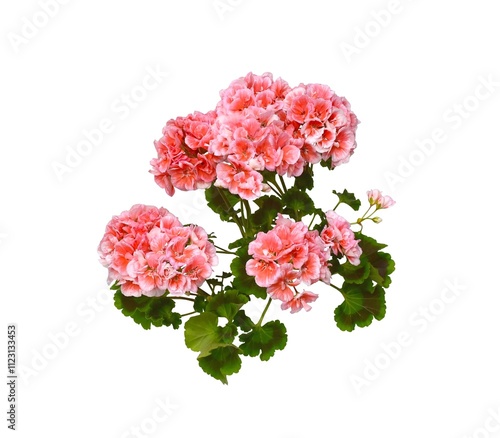 bouquet of flowers