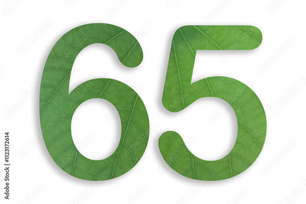 65, number shape with leaf motif design isolated on transparent background 65, number shape with leaf motif design isolated on transparent background