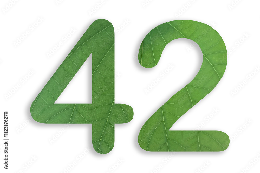 42, number shape with leaf motif design isolated on transparent background 42, number shape with leaf motif design isolated on transparent background