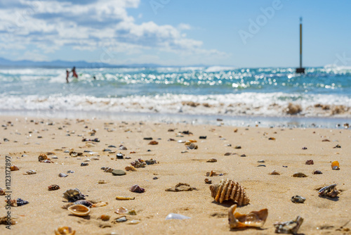 Ground level view of  scattered shells on a sandy beach