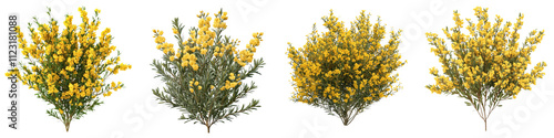 Vibrant Flowering Gorse Bush in Lush Natural Landscape   Image of a Wild Blooming Gorse Shrub with Bright Yellow Flowers and Green Foliage