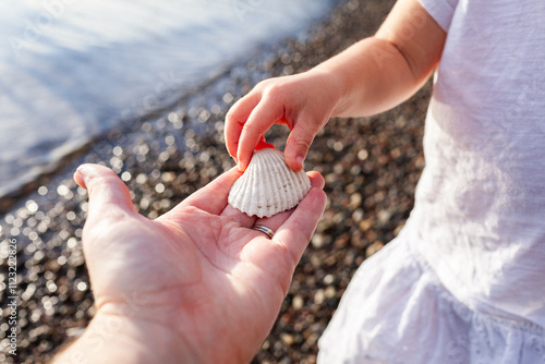 hand holding seashell found on shore of coastal lake with child touching shell photo