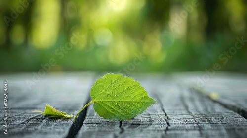 Wood table top on blur green leaf background. photo